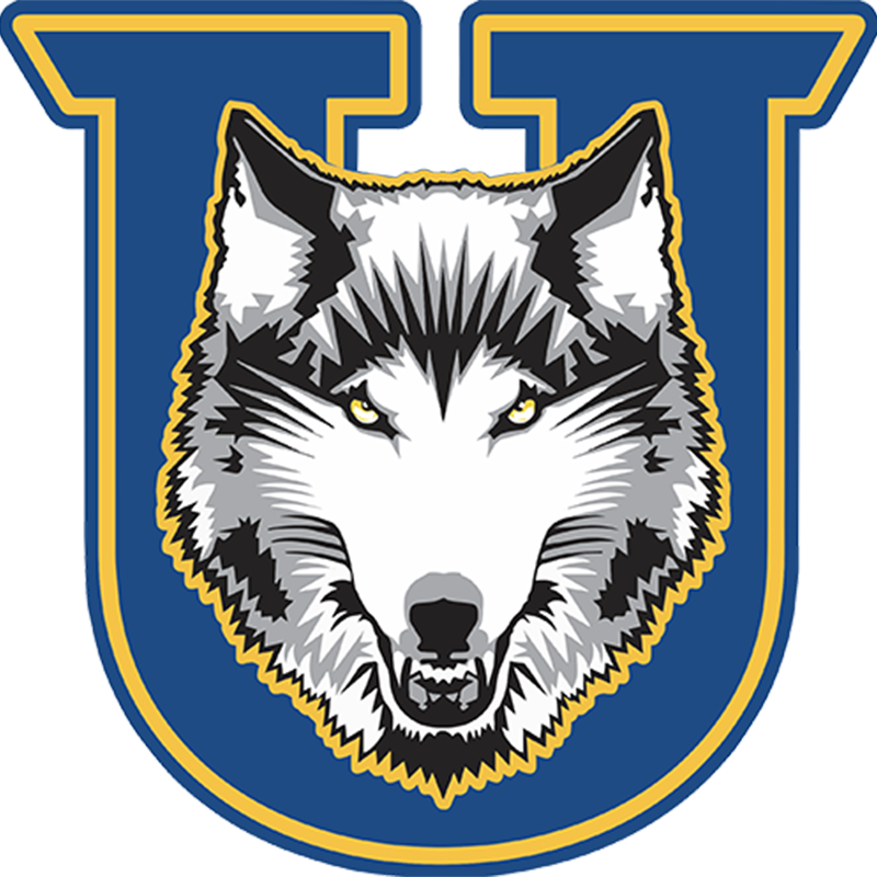 Lakehead Orillia Thunderwolves